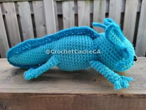 blue axolotl side view